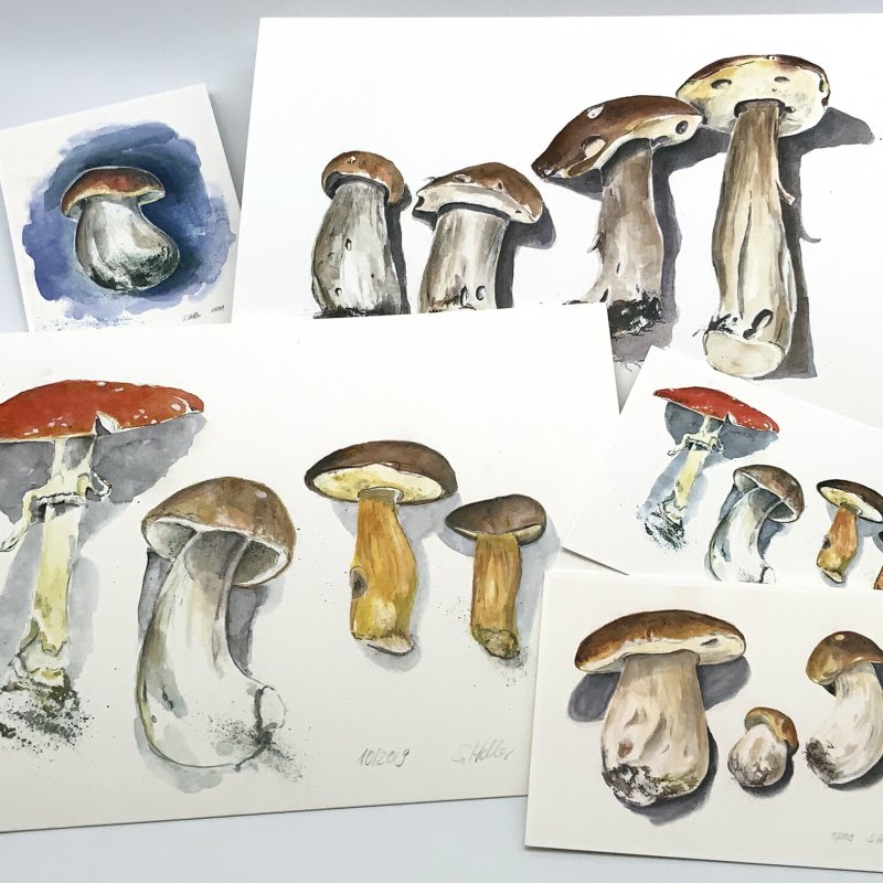 Pilze als Postkarte und Großdruck