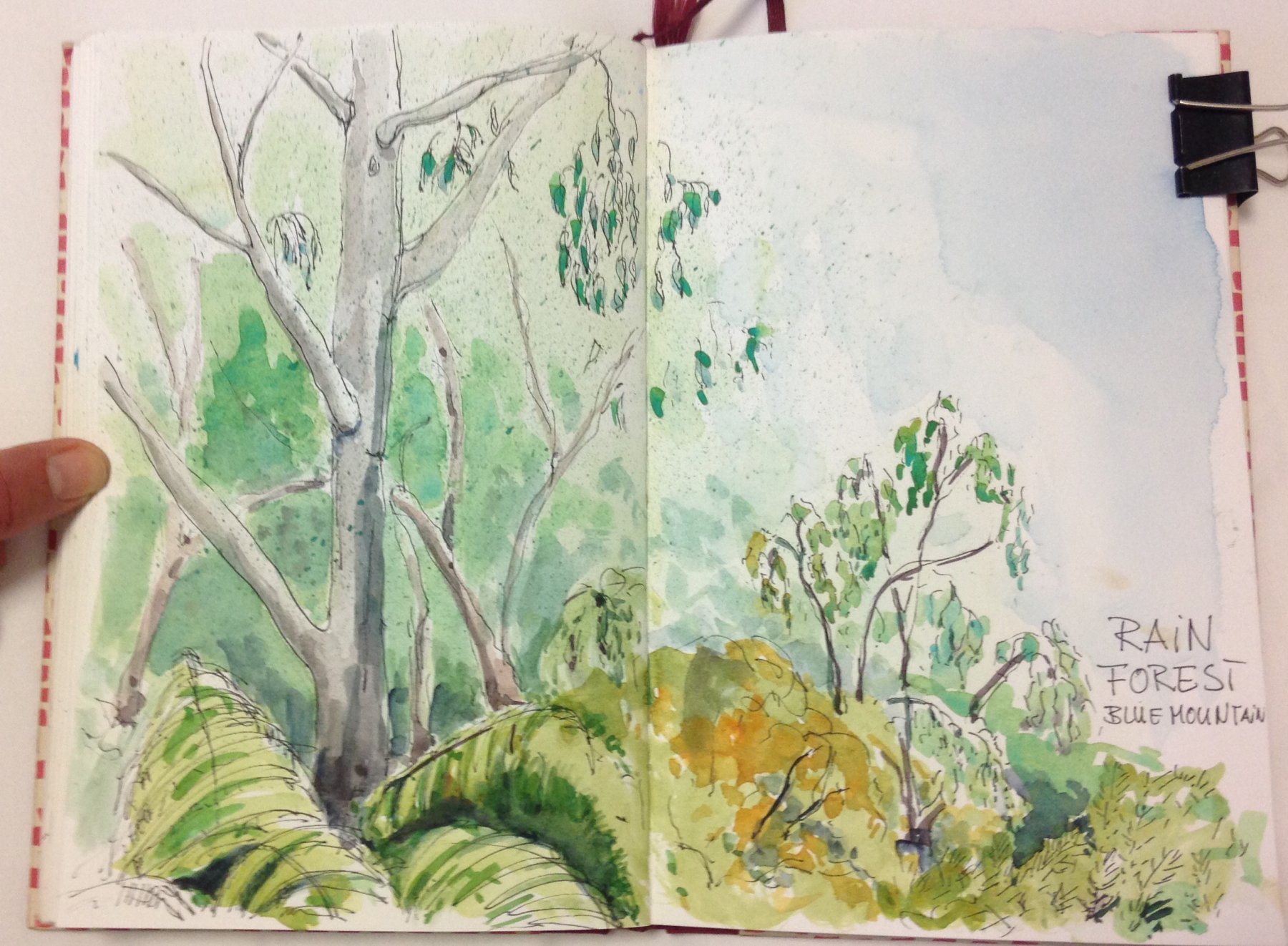 Entspannter Blick in den Regenwald 