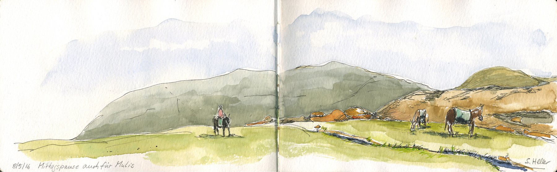 04 Mittagspause für Mulis Mai 2016