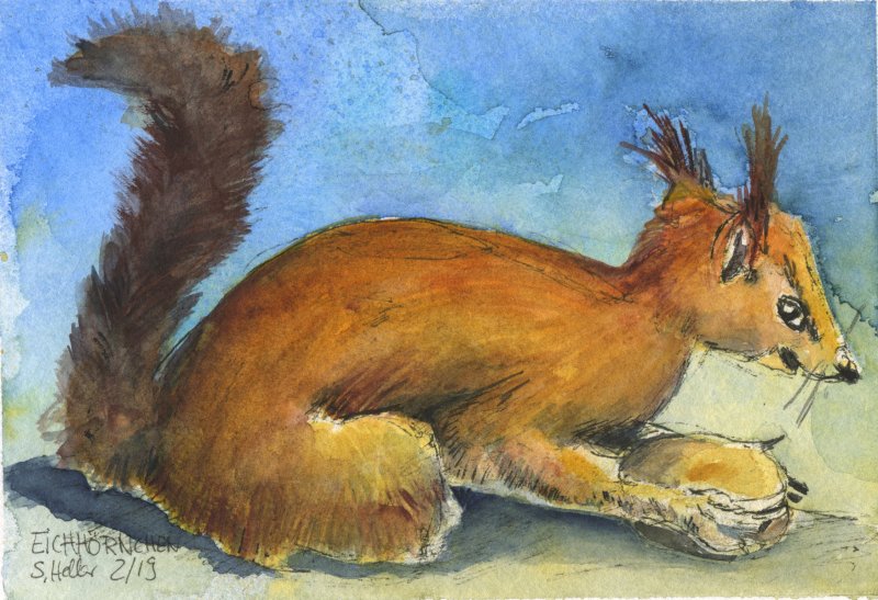 01 Eichhörnchen; 2-2019; Aquarell und Tusche; 14x9 cm