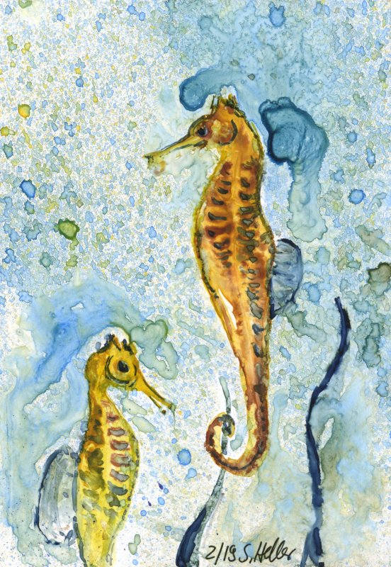 04 Seepferdchen 2; 2-2019; Aquarell und Tusche; 9x14 cm