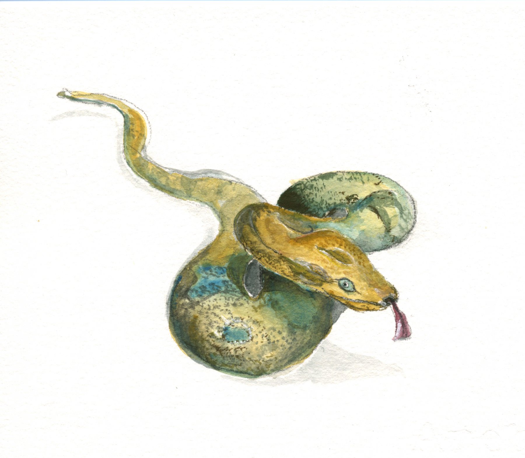 Schlange 2019, Gouache