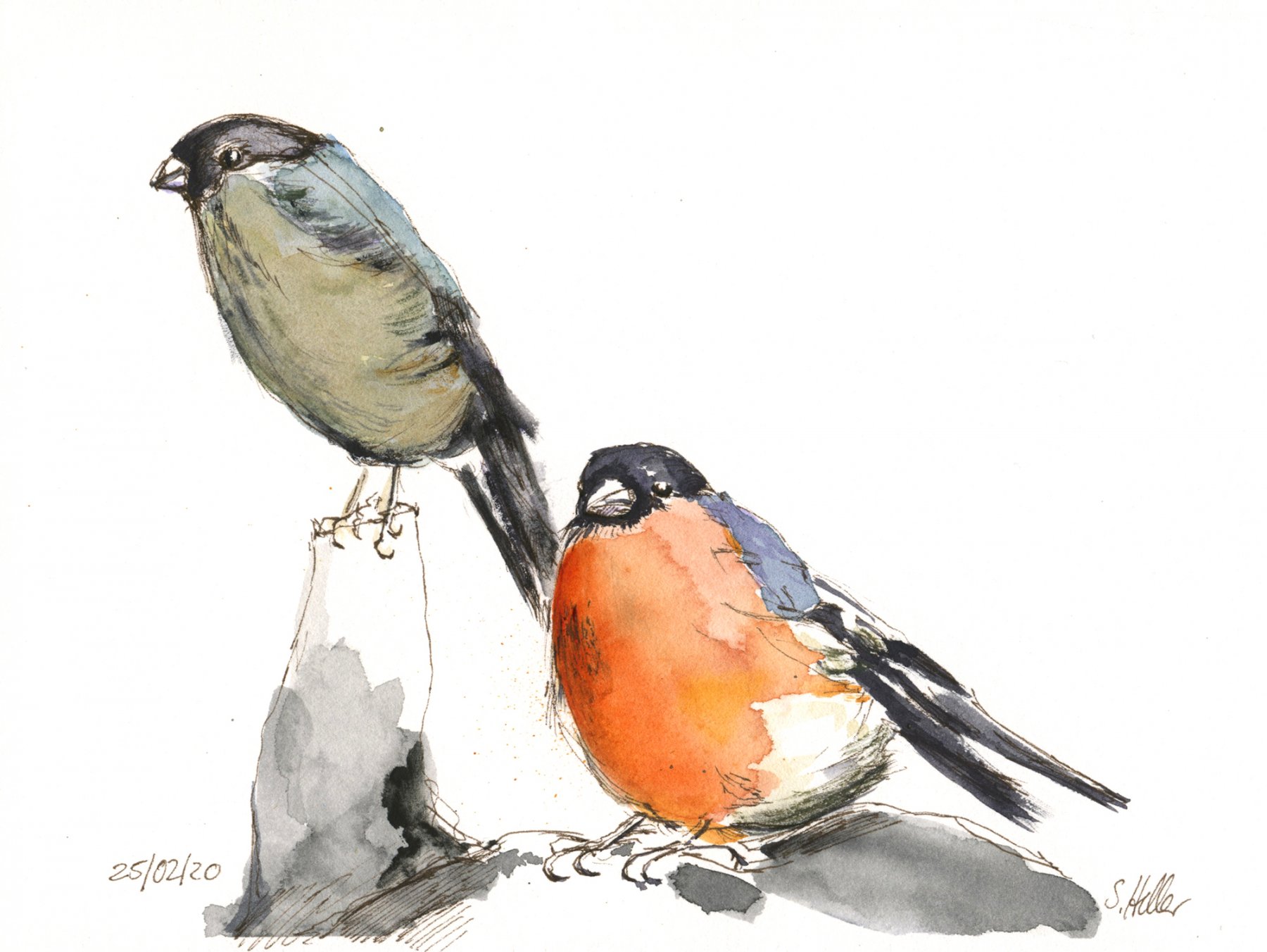 ©Gimpelpaar, 17x12 cm, Arches Papier