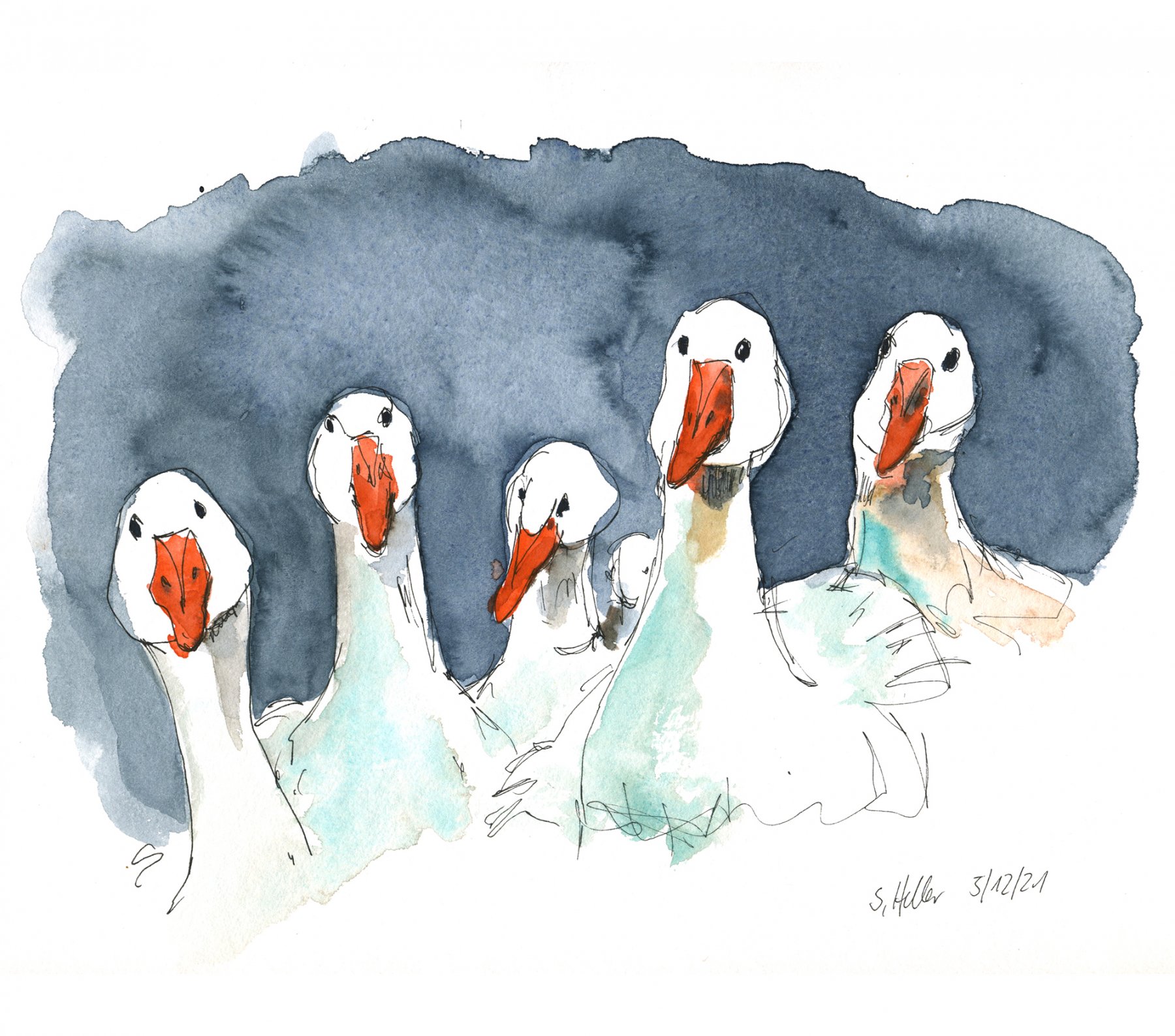 Und manchmal sind doch die Gänse schlauer als der Fuchs...