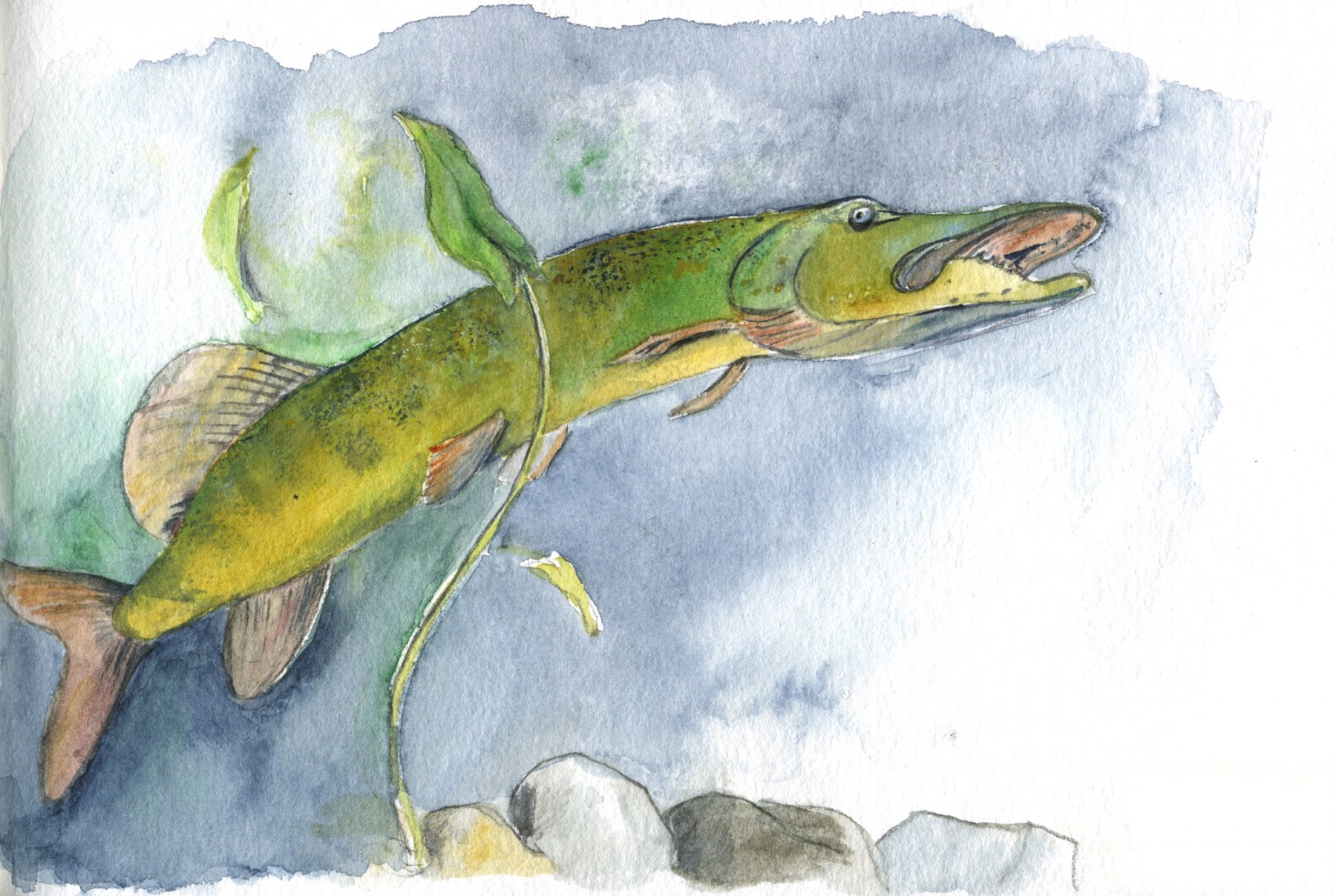 Hecht 1 Strathmore 22x15 cm  Skizzenbuch