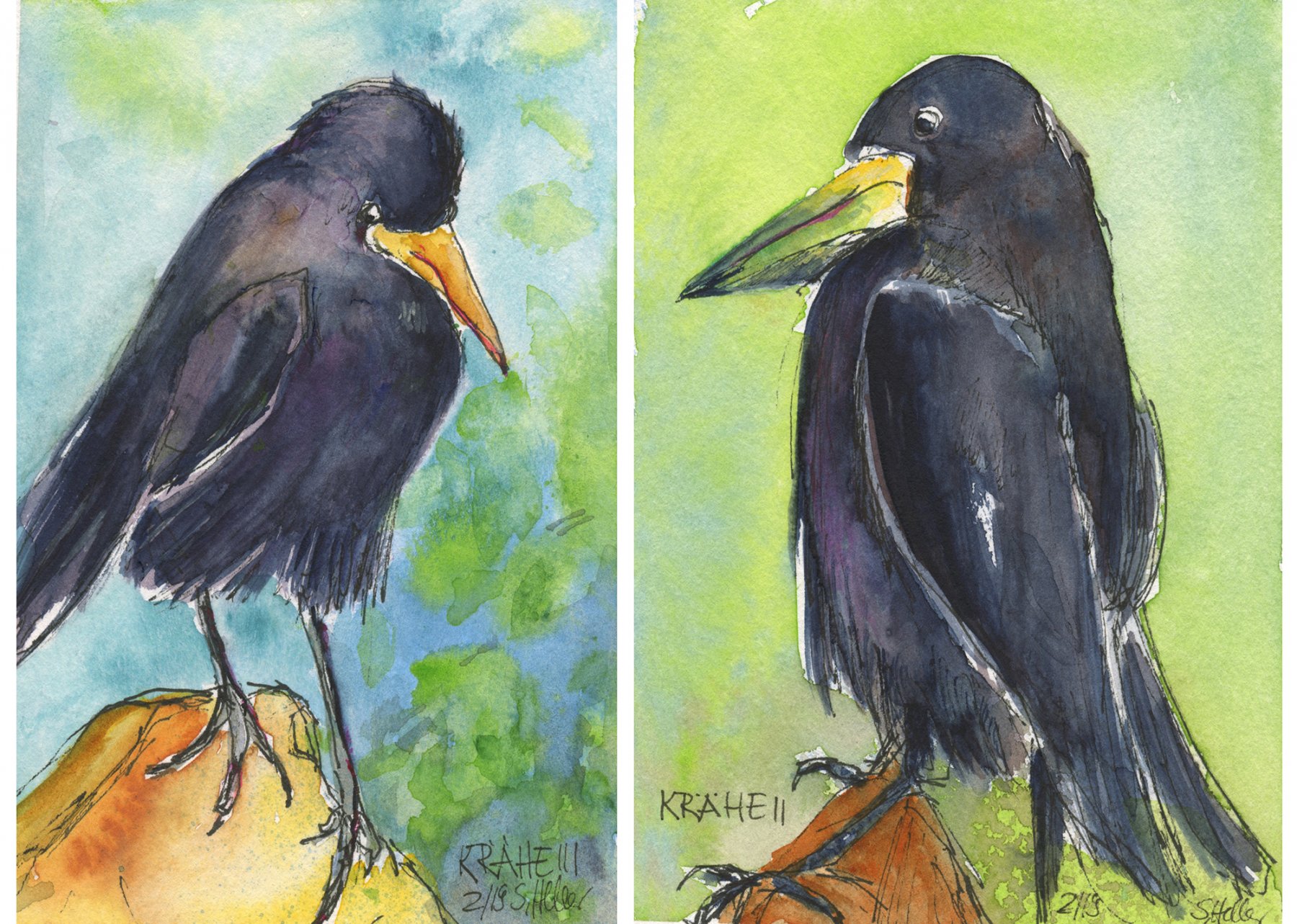 001 Duo - Krähe 2  2-2019; Aquarell und Tusche; 9x14 cm