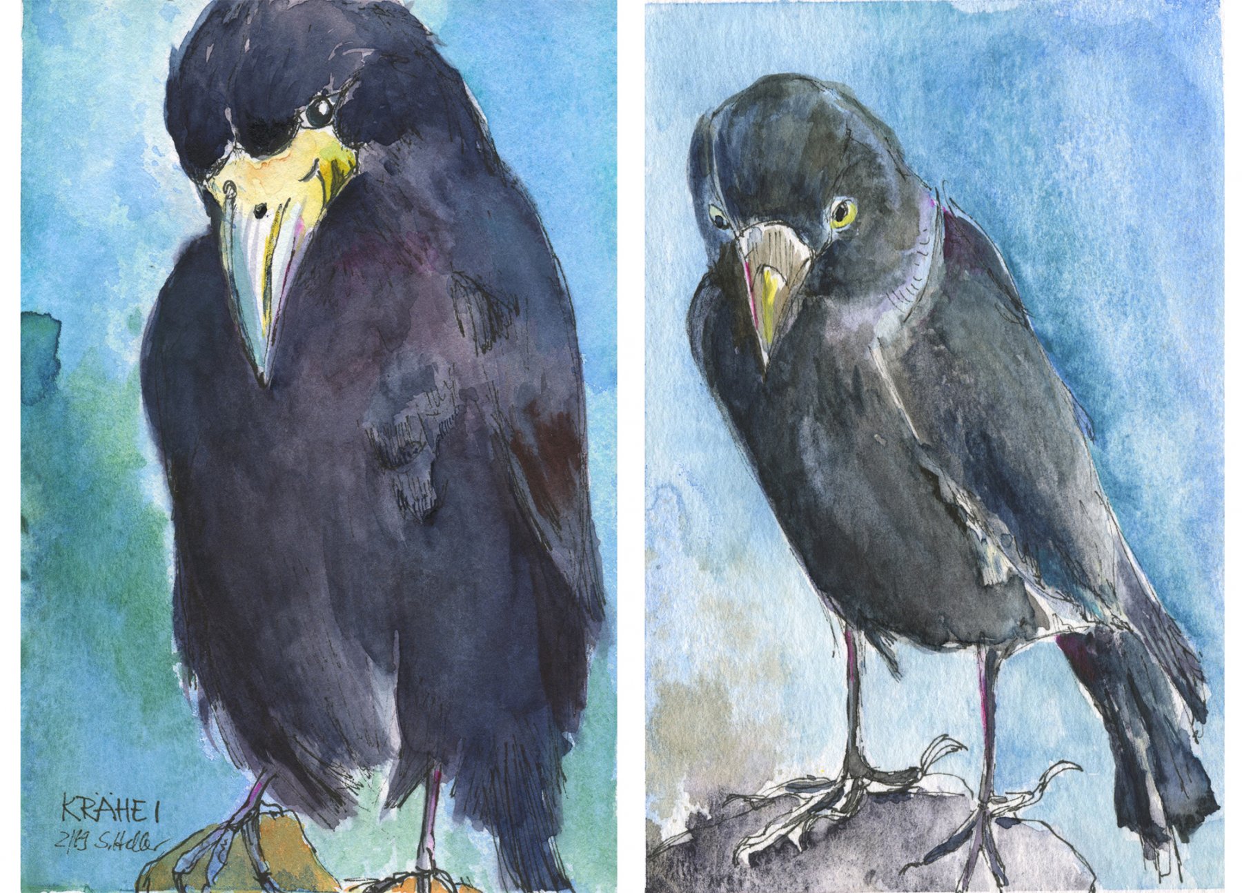 002  Krähe und Dohle 2-2019; Aquarell und Tusche; 9x14 cm