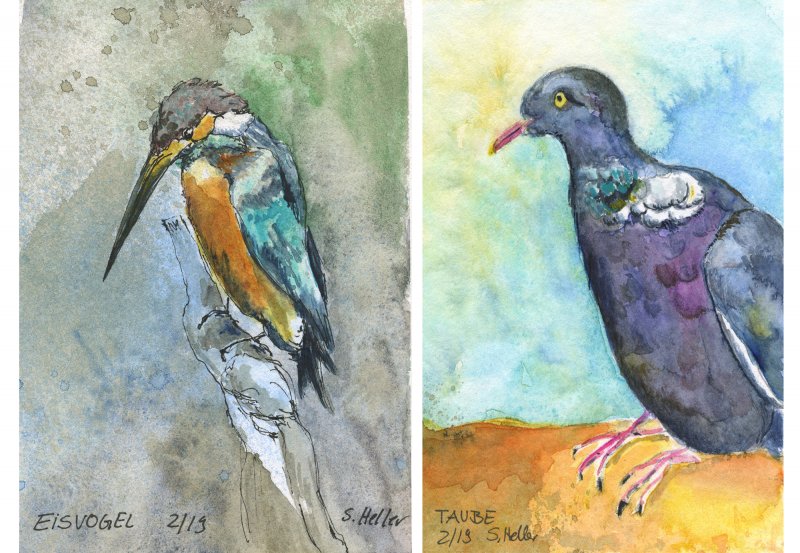 004 Eisvogel und Taube 2-2019; Aquarell und Tusche; 9x14 cm