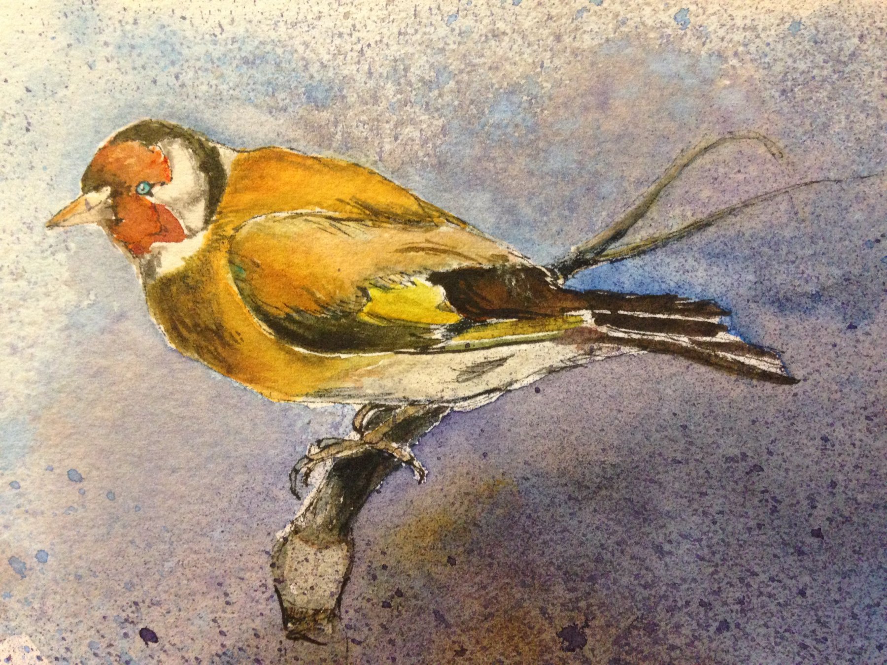 08 Distelfink 1  2-2019; Aquarell und Tusche; 9x14 cm