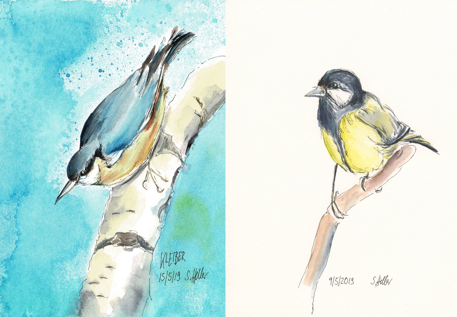 Kleiber und Kohlmeise, zwei Aquarelle, Arches Papier